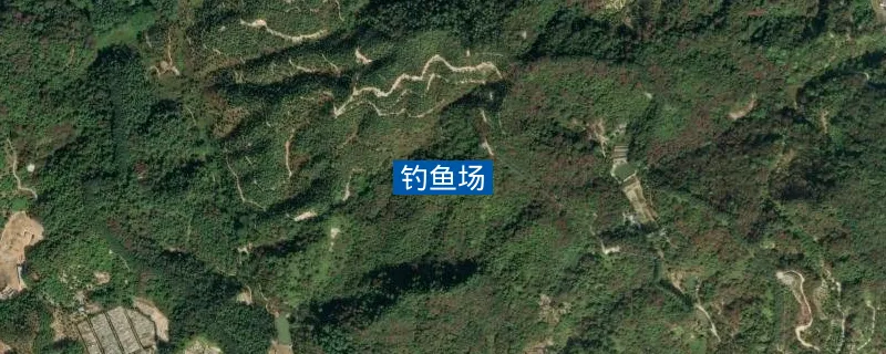广东省广州市增城区陈家林路钓鱼场钓鱼点实景照片