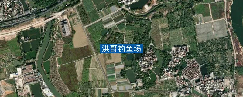 洪哥钓鱼场钓点照片