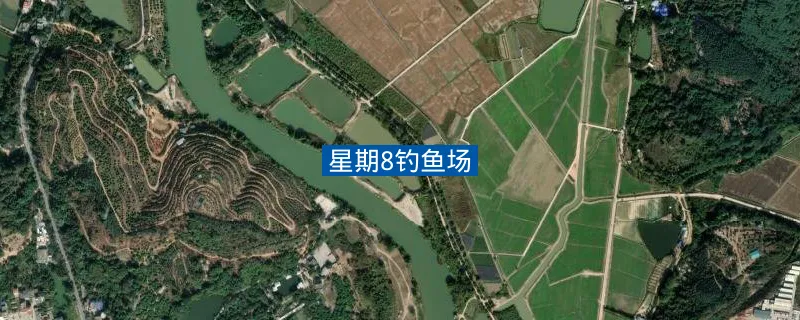 星期8钓鱼场钓点照片