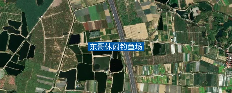 广东省广州市增城区向阳街6号东哥休闲钓鱼场钓鱼点实景照片
