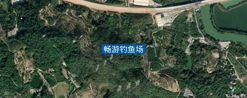 畅游钓鱼场钓点照片