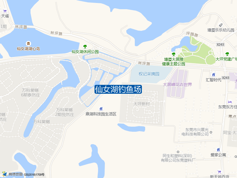 广东省东莞市企洞路仙女湖钓鱼场钓鱼点实景照片