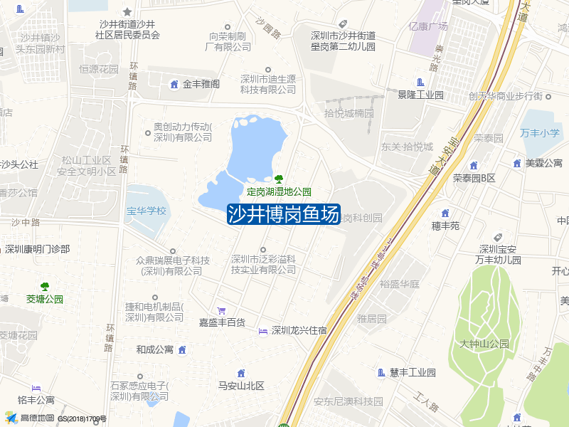 沙井博岗鱼场钓点照片