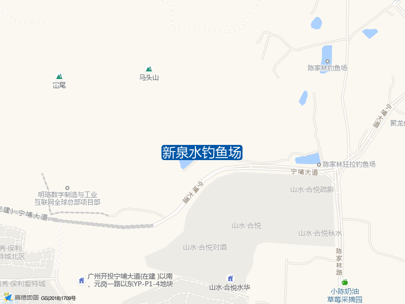 陈家林路附近新泉水钓鱼场钓鱼点实景照片