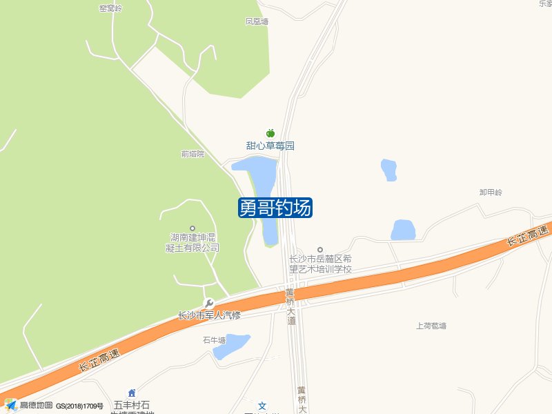 勇哥钓场钓点照片