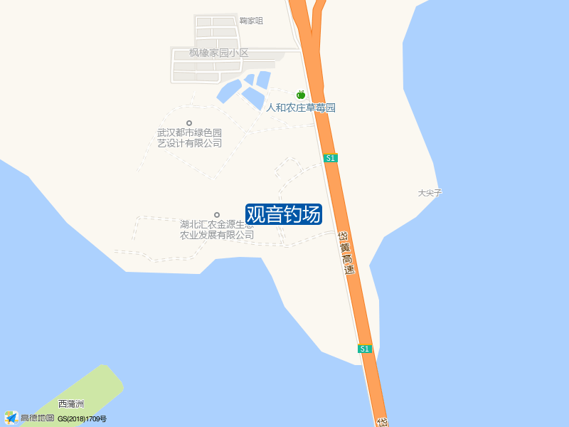 观音钓场钓点照片