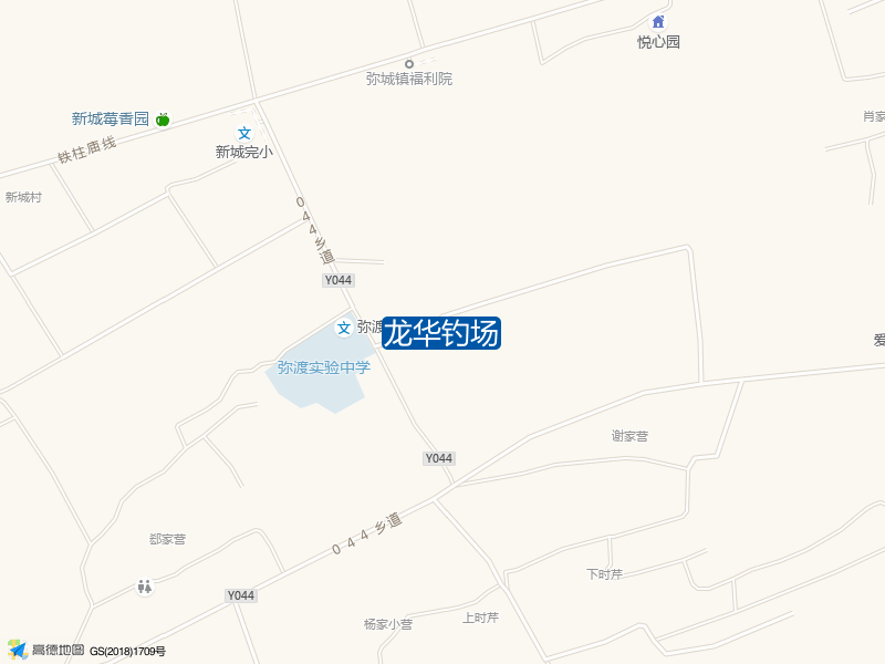 龙华钓场钓点照片