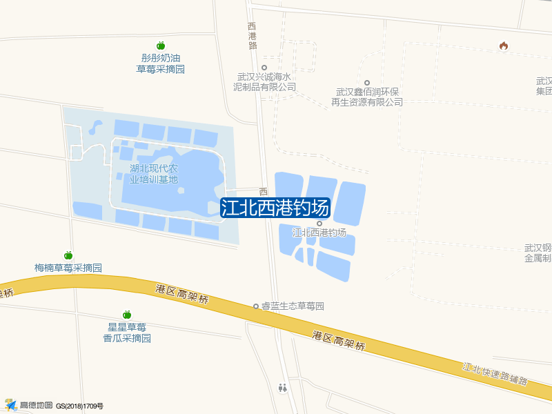 江北西港钓场钓点照片