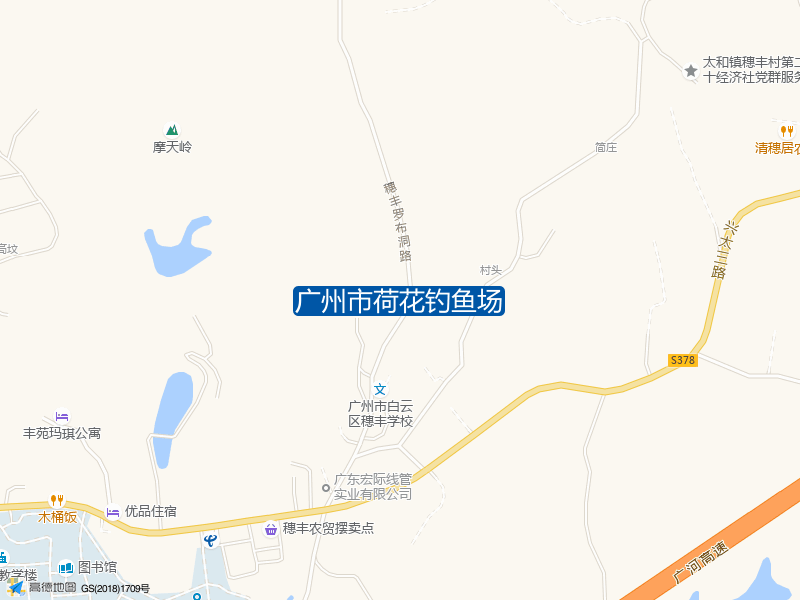 广州市荷花钓鱼场钓点照片