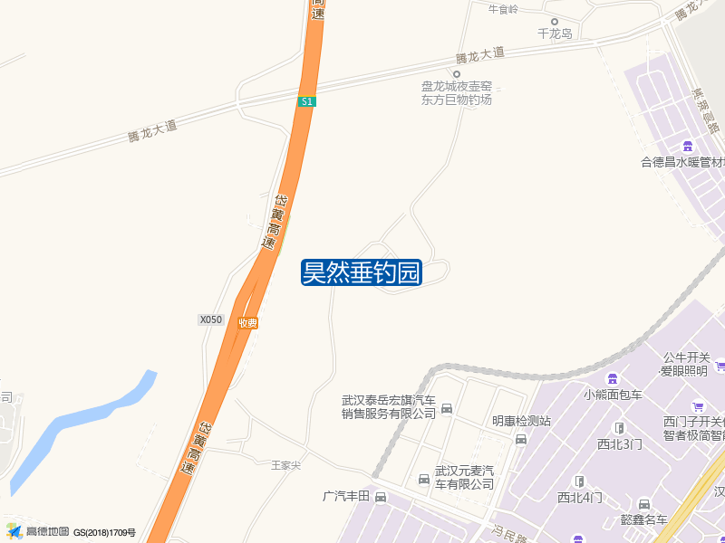 腾龙大道与050县道交叉口东南460米昊然垂钓园钓鱼点实景照片