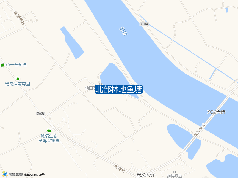 北部林地鱼塘钓点照片