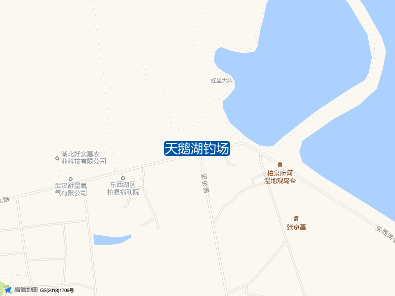 天鹅湖钓场钓点照片