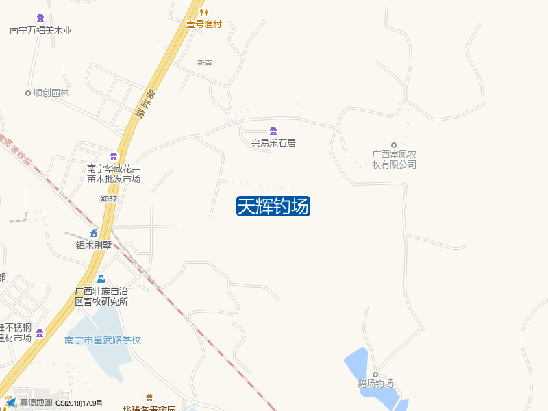 天辉钓场钓点照片