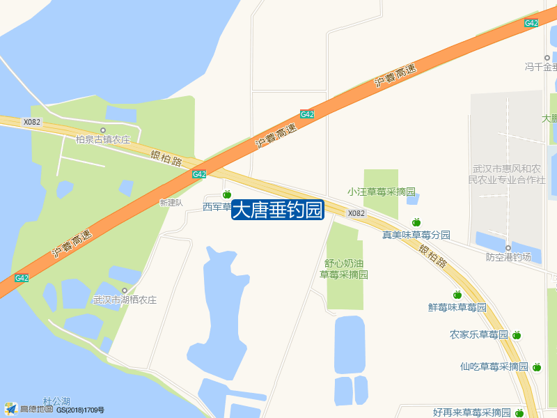 大唐垂钓园钓点照片