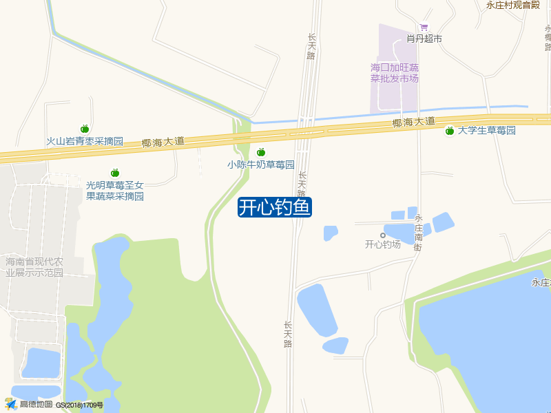 海南省海口市秀英区长流镇海南省现代农业展示示范园内开心钓鱼钓鱼点实景照片