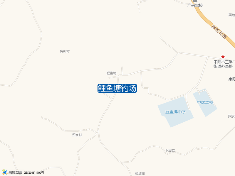 鲤鱼塘钓场钓点照片