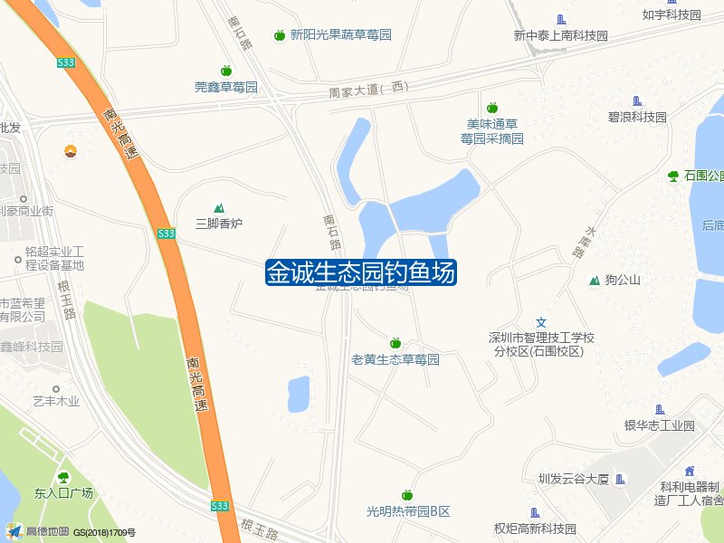 金诚生态园钓鱼场钓点照片