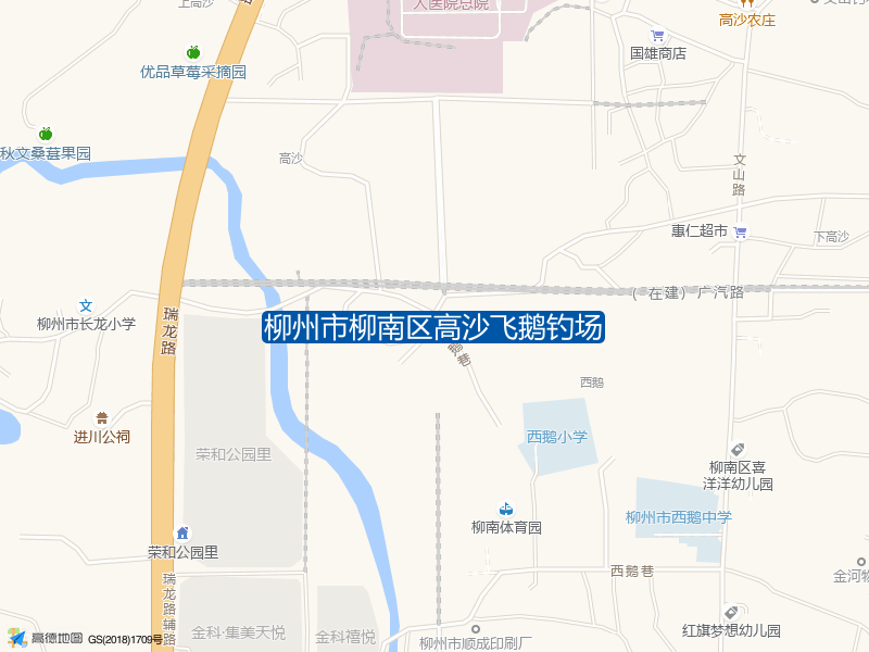 柳州市柳南区高沙飞鹅钓场钓点照片