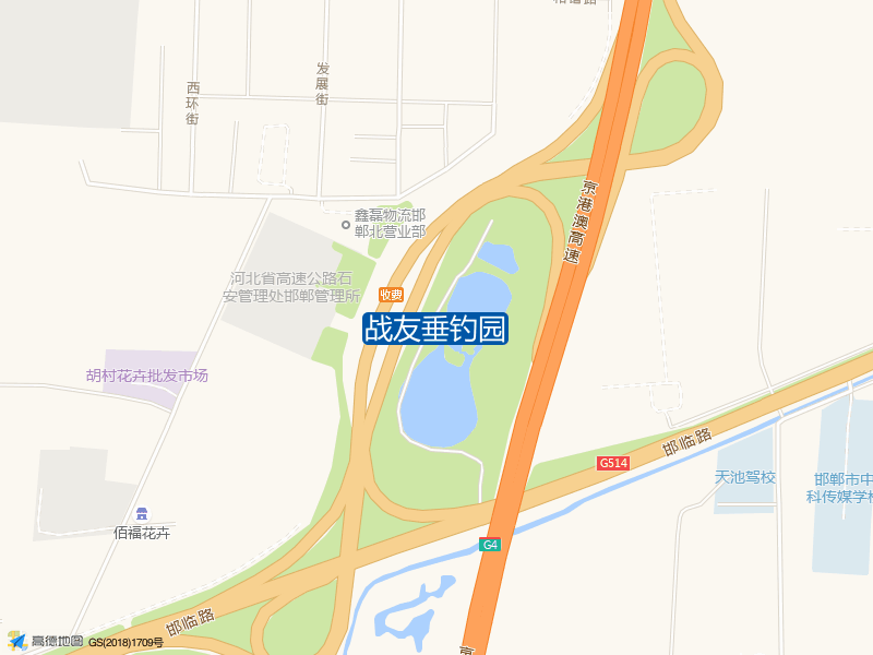 战友垂钓园钓点照片