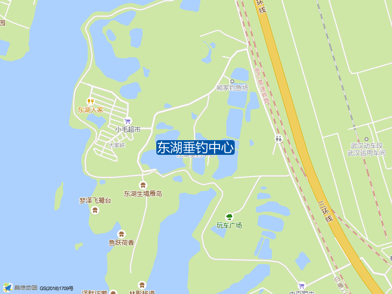 东湖垂钓中心钓点照片