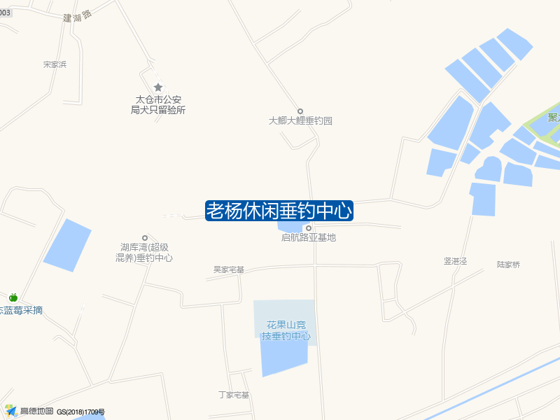 双凤镇新闯村新立路老杨休闲垂钓中心钓鱼点实景照片