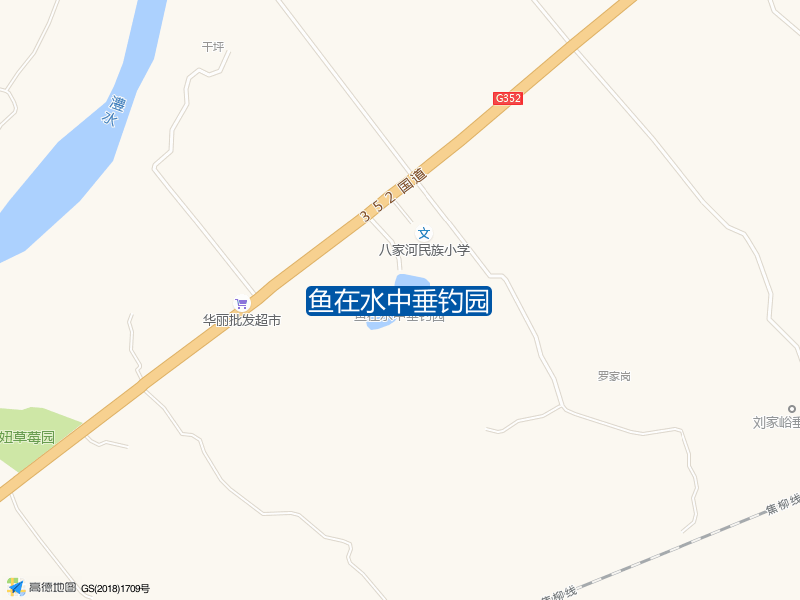 鱼在水中垂钓园钓点照片