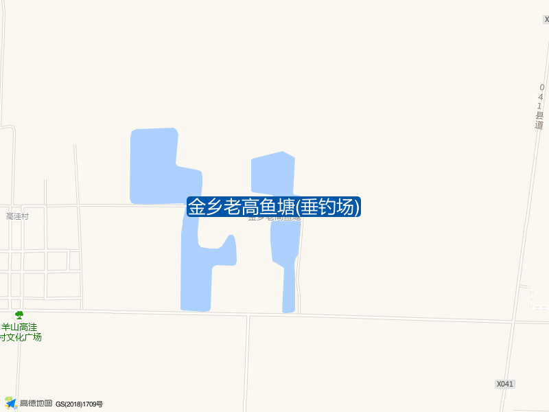 金乡老高鱼塘(垂钓场)钓点照片