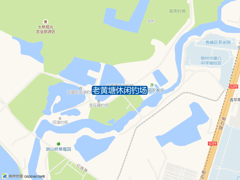 老黄塘休闲钓场钓点照片