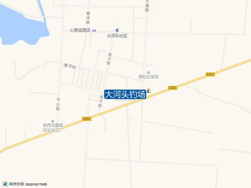 202省道与大黄路交叉口西120米大河头钓场钓鱼点实景照片