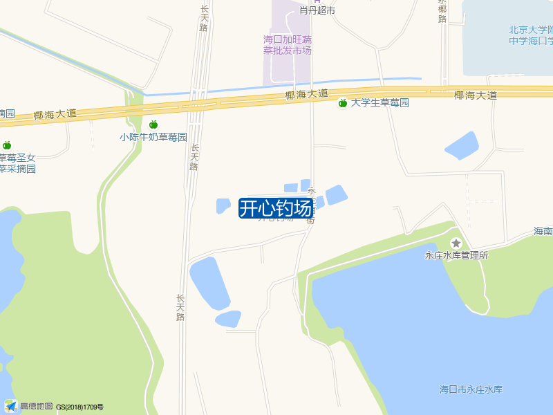 海秀镇永庄村加旺菜市场对面马路往里200米开心钓场钓鱼点实景照片