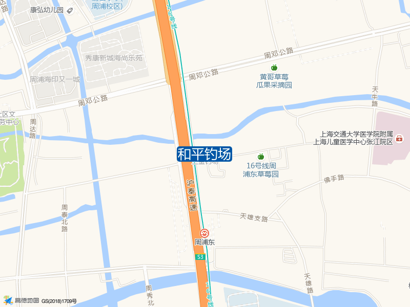 和平钓场钓点照片