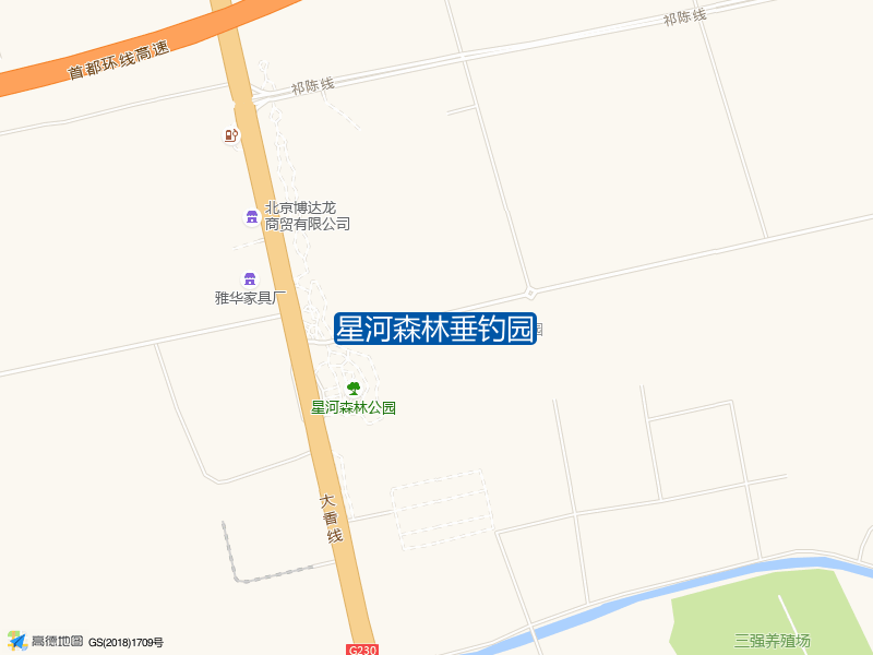 星河森林垂钓园钓点照片