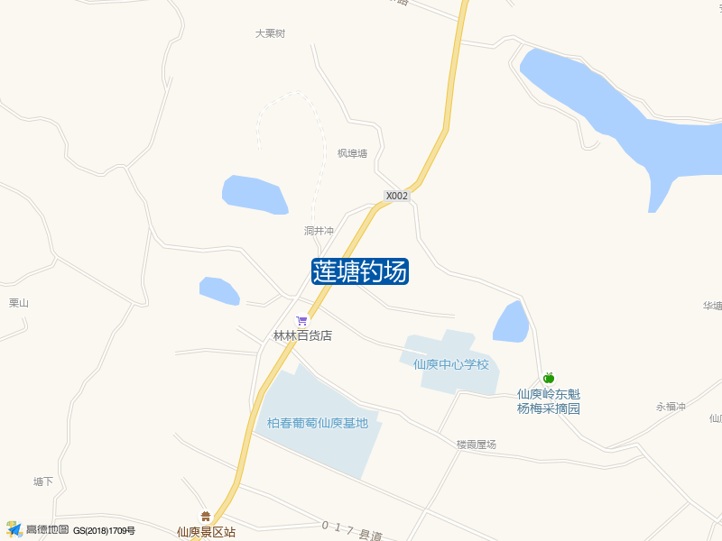 莲塘钓场钓点照片