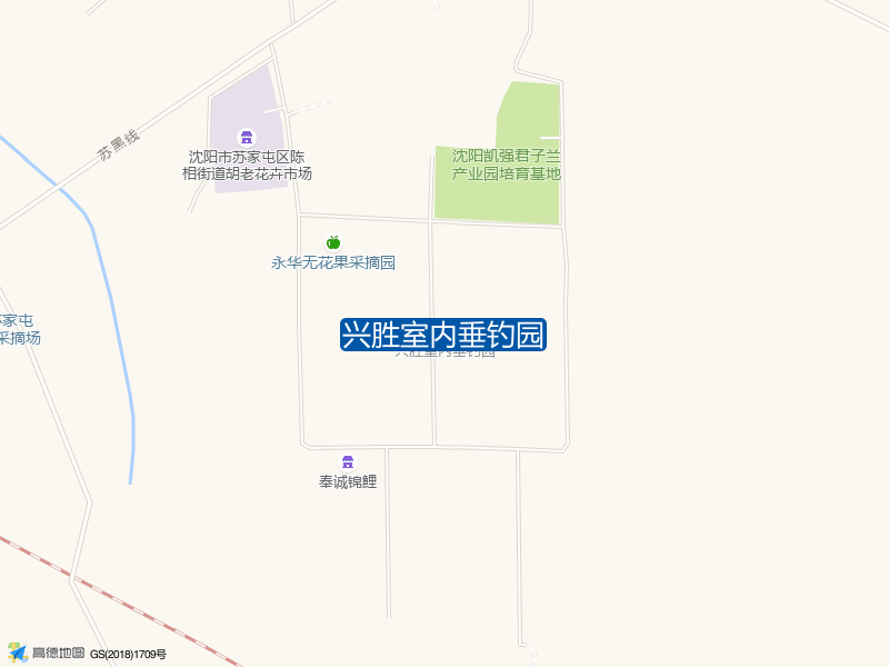 兴胜室内垂钓园钓点照片