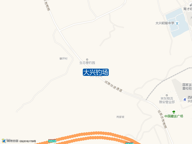 大兴钓场钓点照片