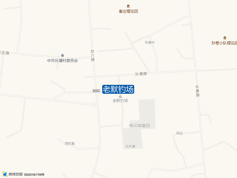 孙巷路老默钓场钓鱼点实景照片