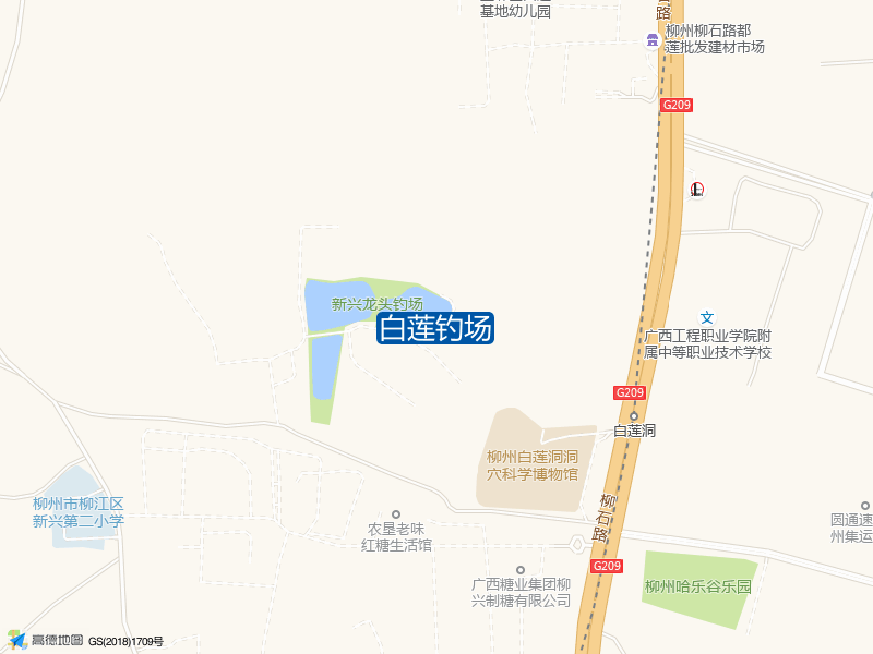 白莲钓场钓点照片