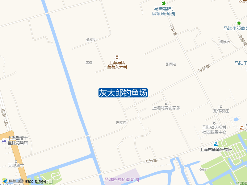 张顾路与花家路交叉口西260米灰太郎钓鱼场钓鱼点实景照片