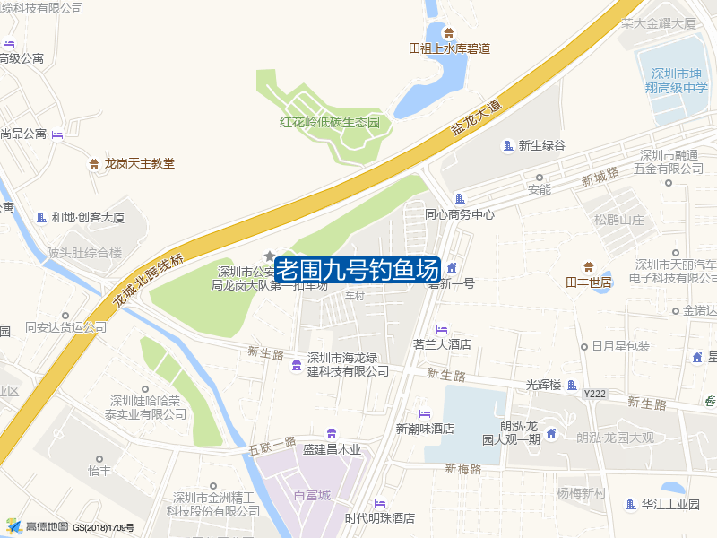 碧新路与田祖上街交叉口西200米老围九号钓鱼场钓鱼点实景照片