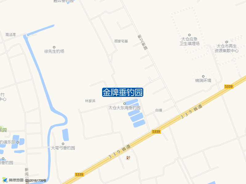 大东海垂钓园北50米金牌垂钓园钓鱼点实景照片