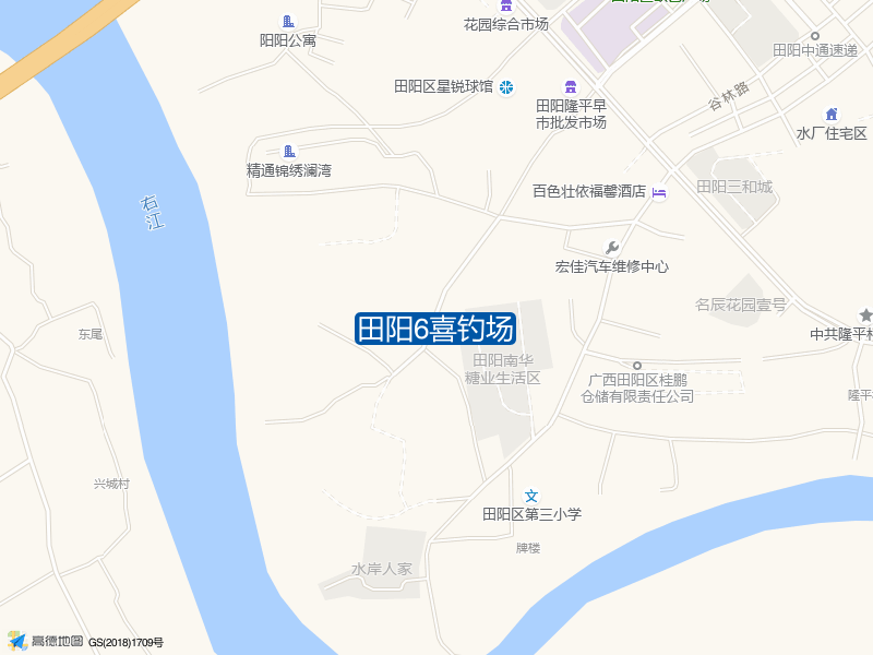 田阳6喜钓场钓点照片