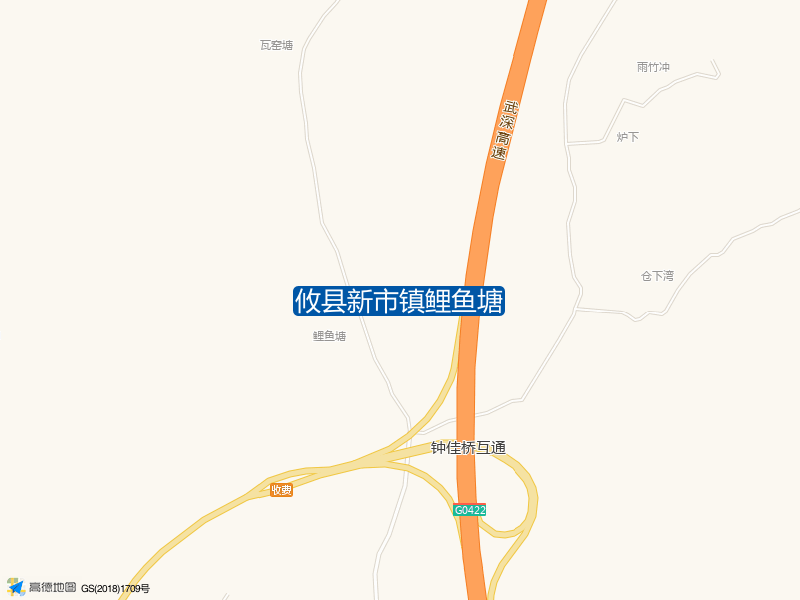 攸县新市镇鲤鱼塘钓点照片