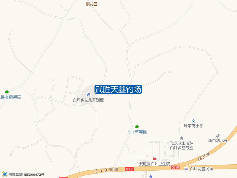 武胜天鑫钓场钓点照片