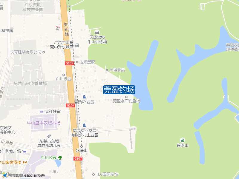 广东省东莞市莞长路莞盈钓场钓鱼点实景照片