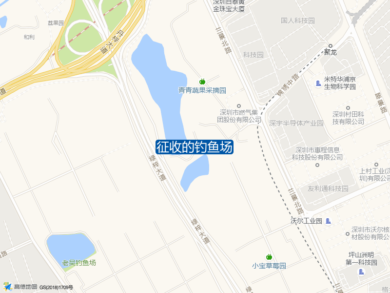 广东省深圳市坪山区坪山区青松西路56号征收的钓鱼场钓鱼点实景照片