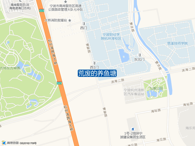 荒废的养鱼塘钓点照片