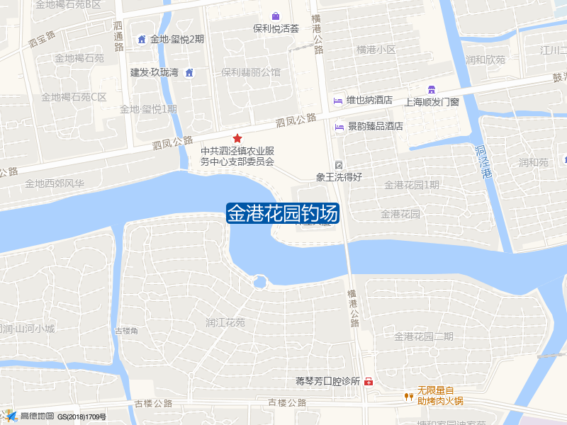 上海市松江区横港公路金港花园钓场钓鱼点实景照片