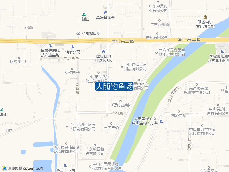 大随钓鱼场钓点照片