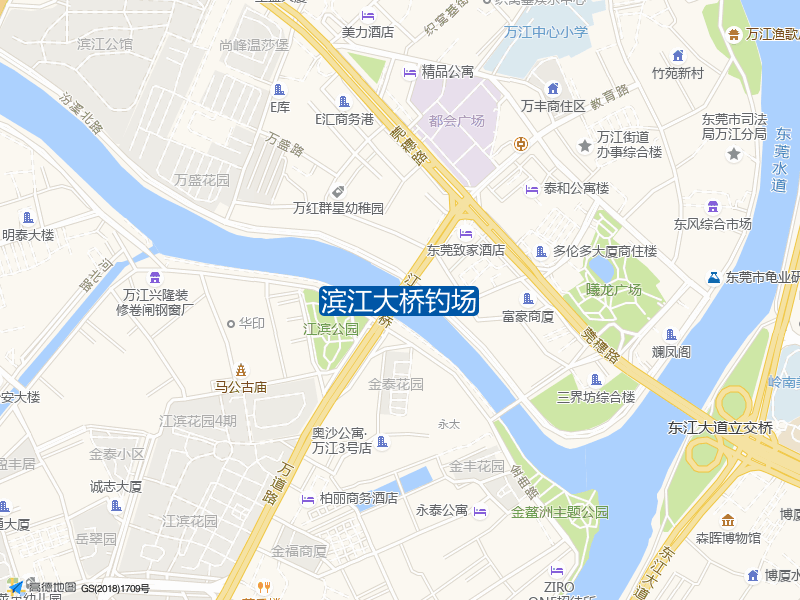 广东省东莞市东莞市市辖区西堤路151号桥底下滨江大桥钓场钓鱼点实景照片