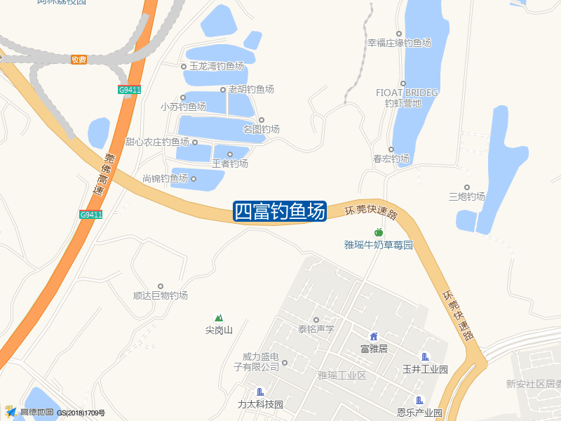 四富钓鱼场钓点照片